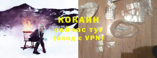 крисы Армянск