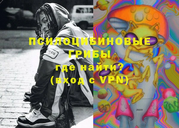крисы Армянск