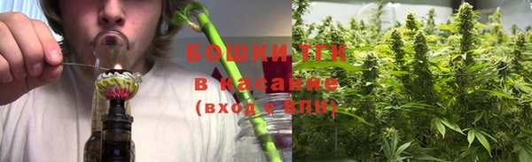 крисы Армянск