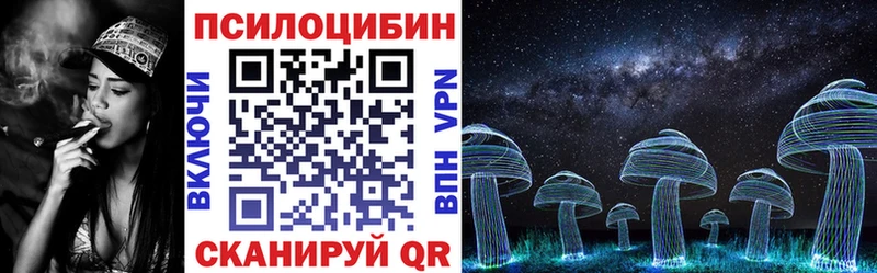 Галлюциногенные грибы Psilocybe  дарнет шоп  Хотьково 