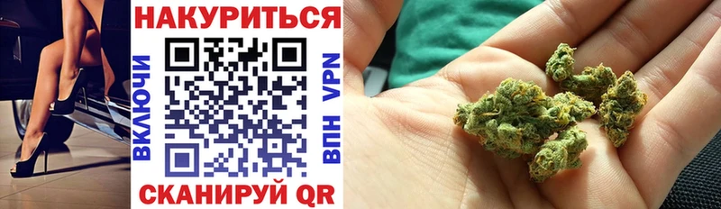 Бошки Шишки конопля Хотьково